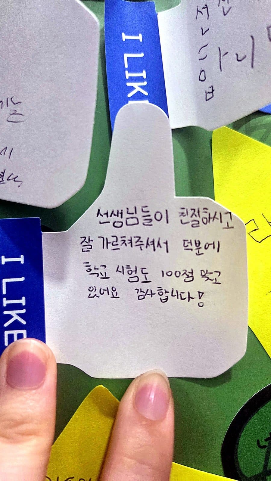 메시지 나무에 붙은 손글씨 쪽지